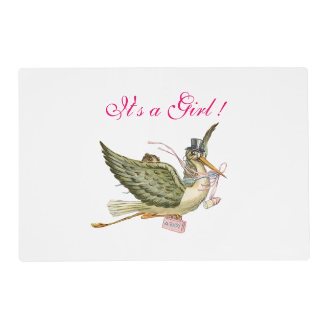 STORK GIRL BABY SHOWER White Pink Placemat (Front)