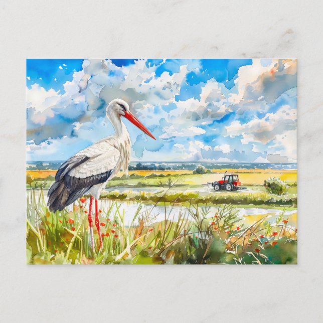 Stork in Summer Fields Havelland Watercolor Style Postcard (Front)