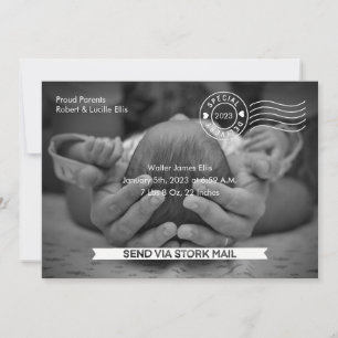 Stork Mail Birth Announcement
