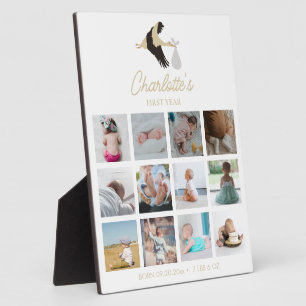 Stork Newborn Baby's First Year Photos Birth Stats Plaque