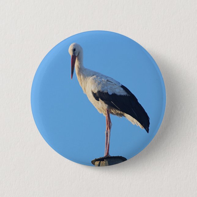 Stork on pole pinback button (Front)