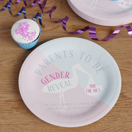 Stork Parents to Be Gender Reveal Paper Plates