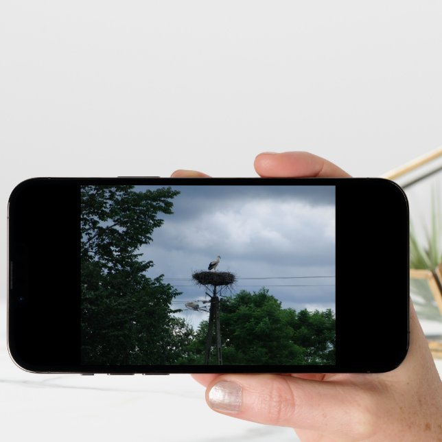 Stork Photo Baby Pregnancy Announcement Card (Front Digital)