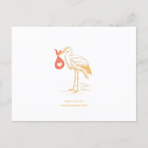 Stork Pregnancy Announcement Postcard
