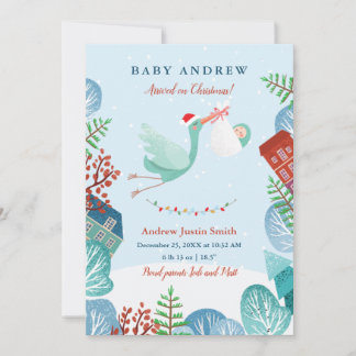 Stork Santa Claus Christmas Birth Annoucement Holiday Card