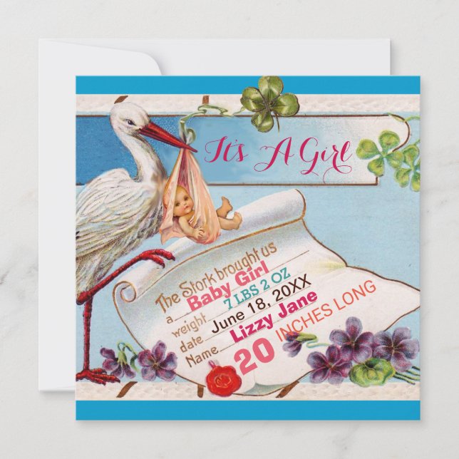 STORK,SHAMROCKS GiRL BABY SHOWER BIRTH STATS Invitation (Front)