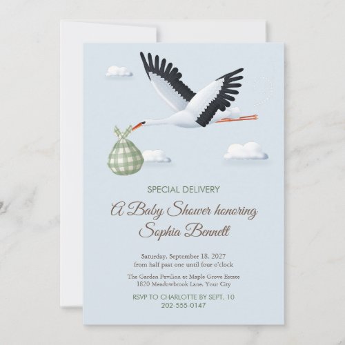 Stork Special Delivery Baby Shower Invitation