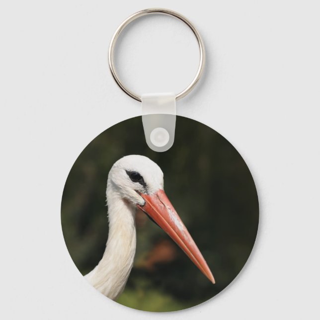 Stork - symbol of Strasbourg and Alsace, France Keychain (Front)