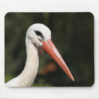 Stork - symbol of Strasbourg and Alsace, France Mouse Pad