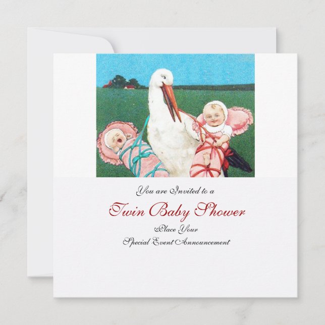 STORK TWIN BABY GIRL SHOWER INVITATION (Front)
