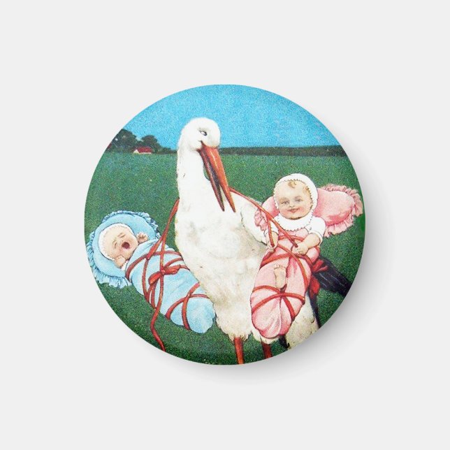STORK TWIN BABY SHOWER, Pink ,Teal Blue Magnet (Front)