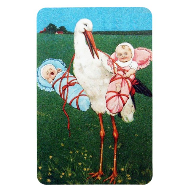 STORK TWIN BABY SHOWER, Pink ,Teal Blue Magnet (Vertical)