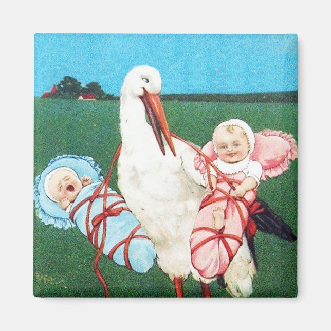 STORK TWIN BABY SHOWER, Pink ,Teal Blue Magnet (Front)