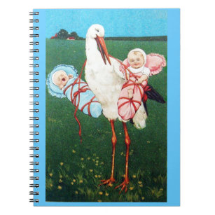 STORK TWIN BABY SHOWER, Pink ,Teal Blue Notebook