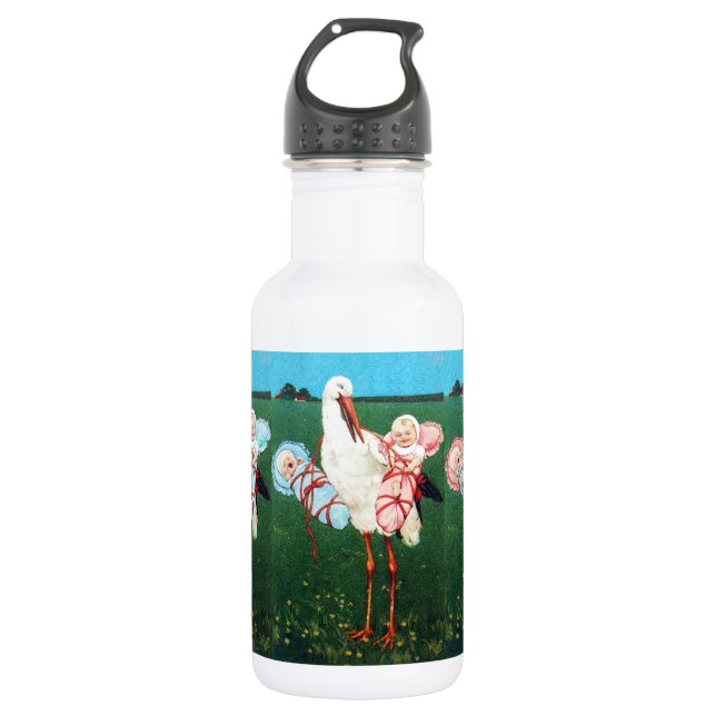 STORK TWIN BABY SHOWER, Pink ,Teal Blue Water Bottle (Front)