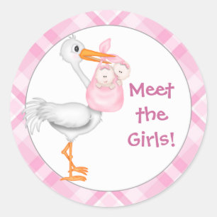 Stork & Twin Girls Baby Announcement Classic Round Sticker