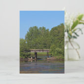 Stork Under a Bridge (Standing Front)