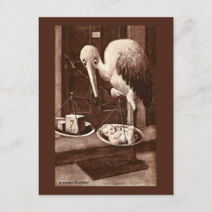 Stork Weighing New Baby Vintage Announcement Postcard