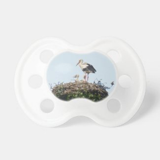 Stork with Young Pacifier