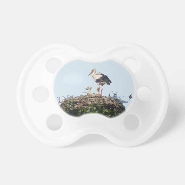 Stork with Young Pacifier (Front)