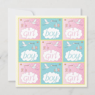 Storks Baby Gender Reveal Party Invitation