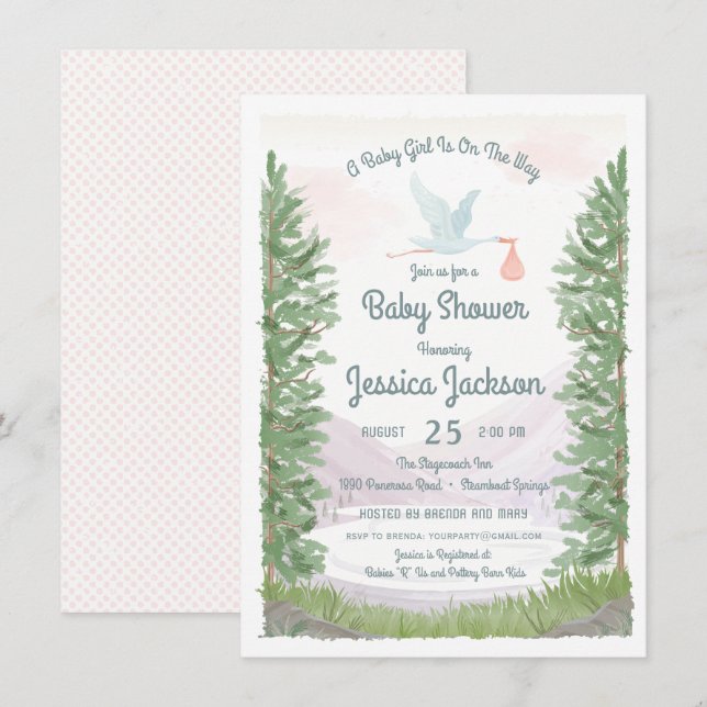 Stork's Journey Baby Girl Shower Invitation (Front/Back)