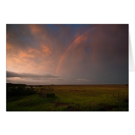 Storm and Bow Cards (Front Horizontal)