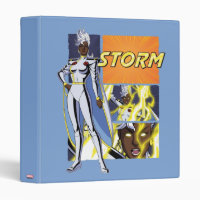 Storm Character Panel Graphic