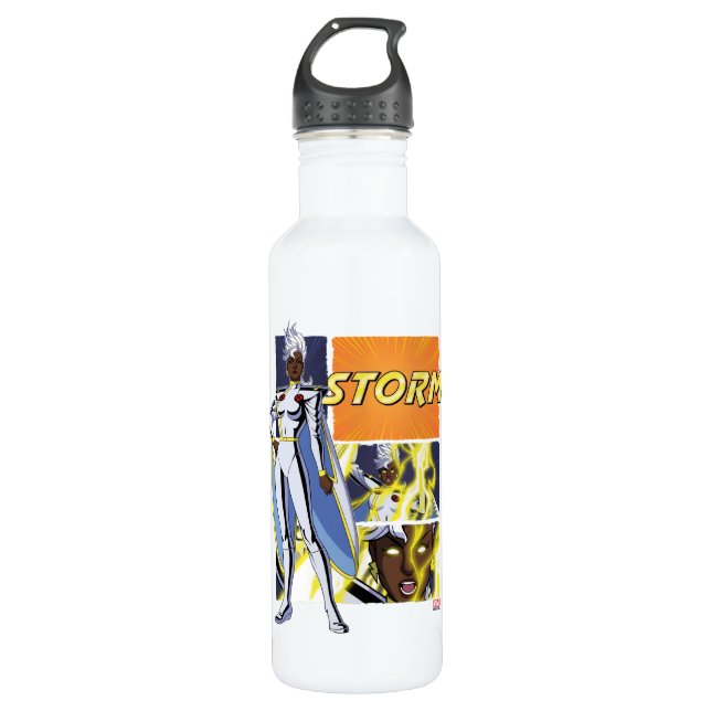 Storm Character Panel Graphic Stainless Steel Water Bottle (Front)