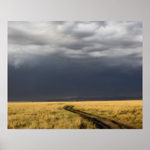 Storm clouds and road across gassy plains of the poster