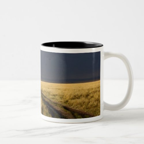 Storm clouds and road across gassy plains of the Two_Tone coffee mug