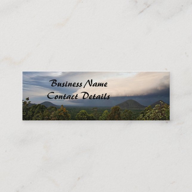 Storm Front Mini Business Card (Front)