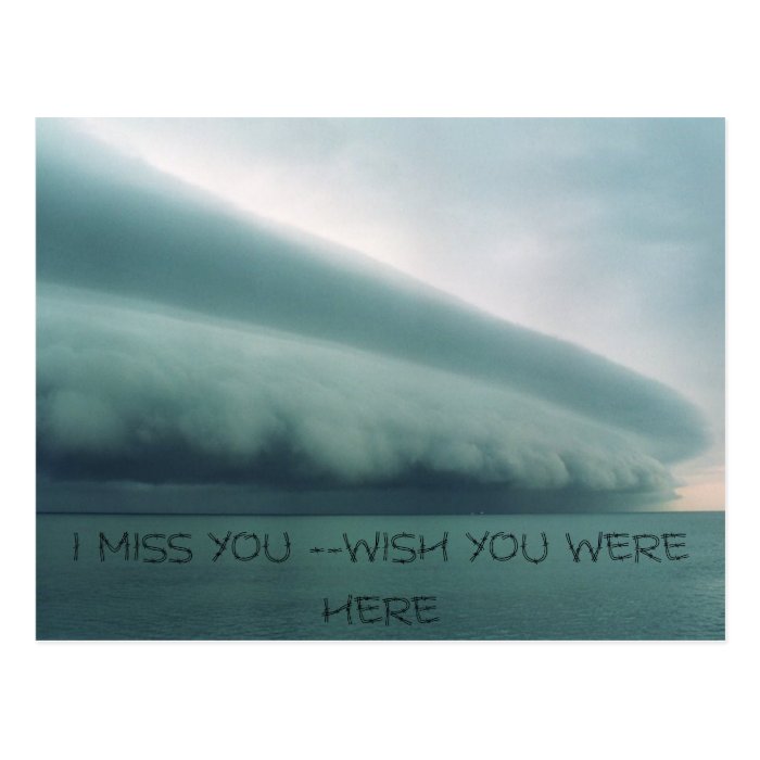 Storm, I MISS YOU   WISH YOU WERE HERE Post Card