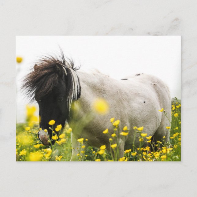 Storm on a postcard (Front)