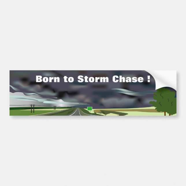 Storm on the Horizon Bumper Sticker (Front)