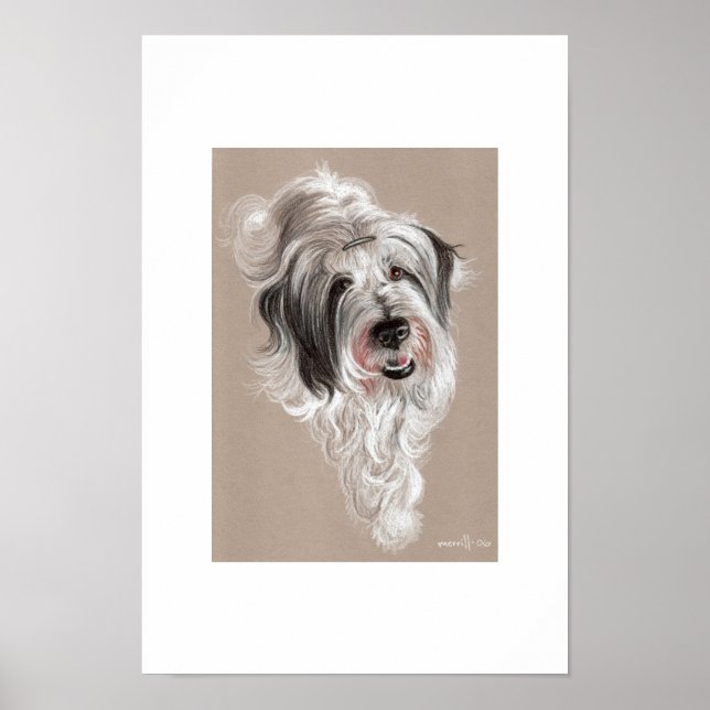 storm poster (Front)