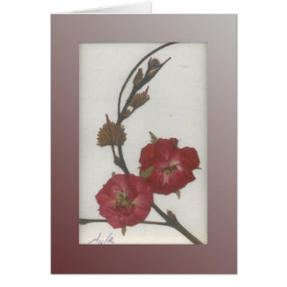 Storm Rose Cards