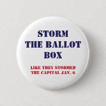 Storm the Ballot Box Pin