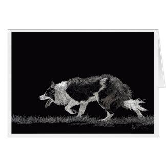 Storm the Border Collie Cards
