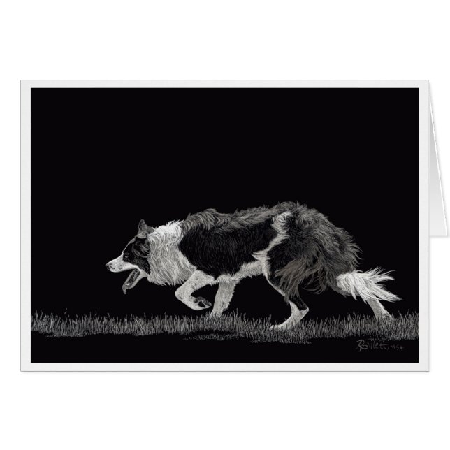 Storm the Border Collie Cards (Front Horizontal)