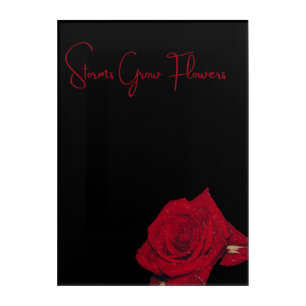 🌹 Storms Grow Flowers 🌹 Acrylic Print