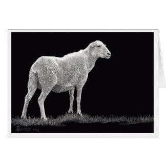 Storm's Sheep Cards