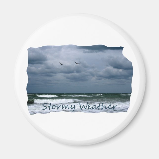 Stormy Beach with Seagulls Image Text Magnet (Front)