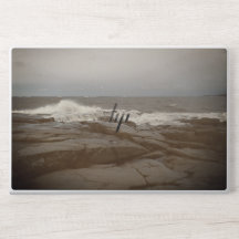 Stormy Kallo - Laptop Skin