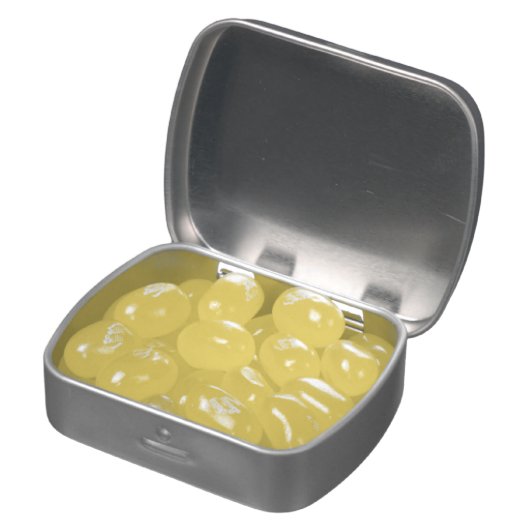 Stormy Sandcastle Beach Landscape Photo Jelly Belly Tin (Opened)