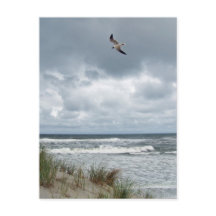 Stormy Sea