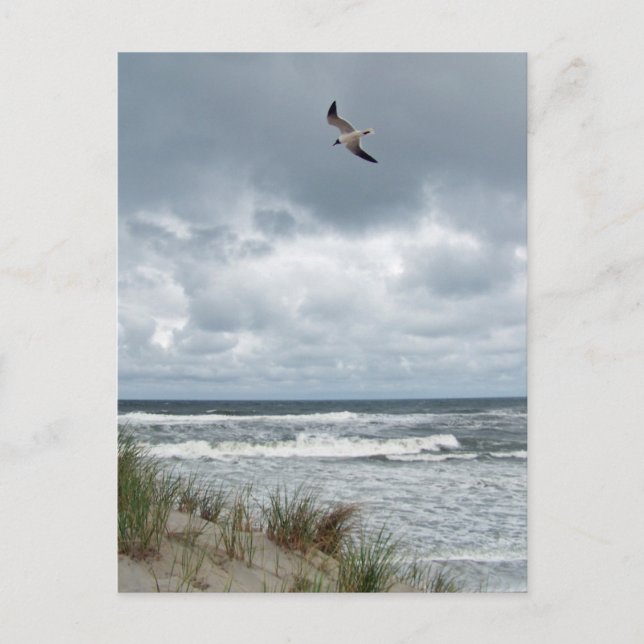 Stormy Sea Postcard (Front)