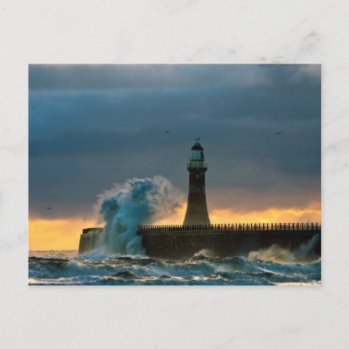 Stormy Seas at Roker Postcard