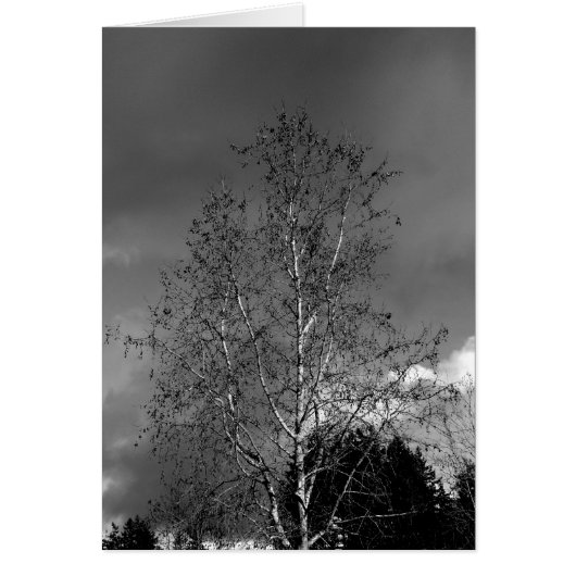 Stormy Skies (Front)