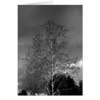 Stormy Skies Cards